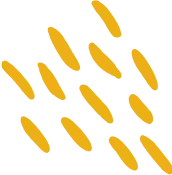 shape